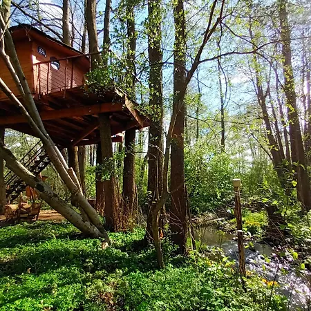 Σαλέ Treehouse V Brdech *