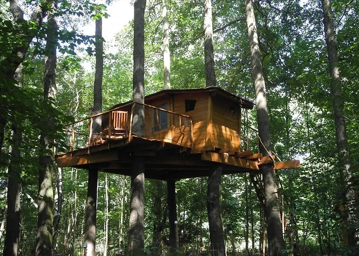 Horská chata Treehouse V Brdech Bohutín