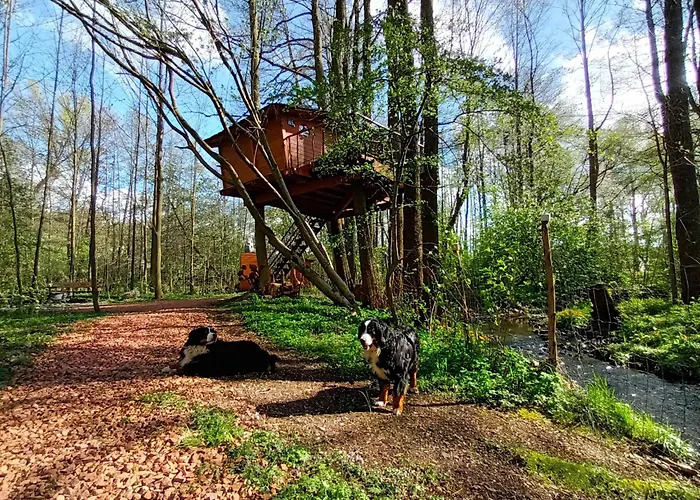Treehouse V Brdech