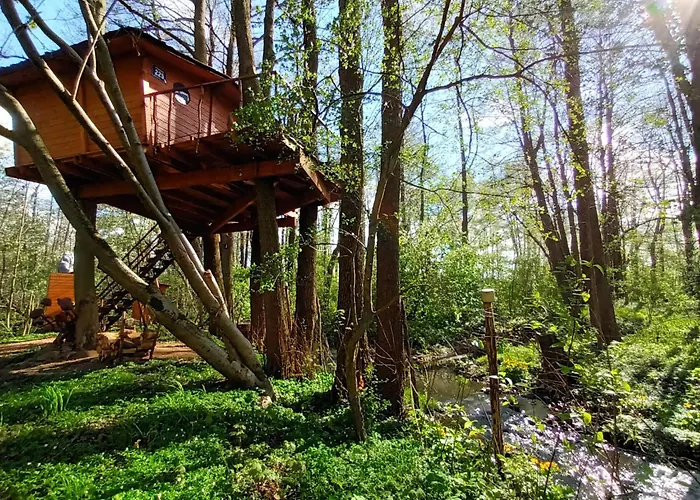 Alpstuga Treehouse V Brdech *